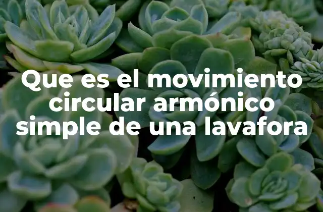 Que es el Movimiento Circular Armónico Simple de una Lavafora