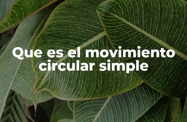 Que es el Movimiento Circular Simple