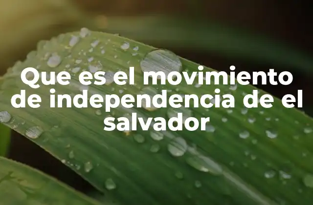 Que es el Movimiento de Independencia de el Salvador