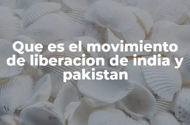 Que es el Movimiento de Liberacion de India y Pakistan
