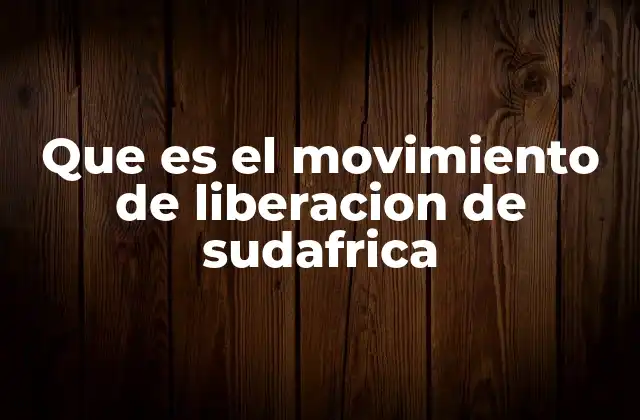 Que es el Movimiento de Liberacion de Sudafrica 2 La lucha contra un sistema de opresión