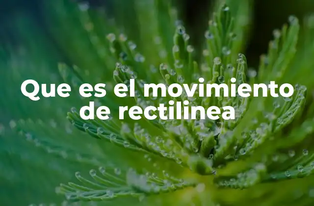 Tipos y características del movimiento rectilíneo