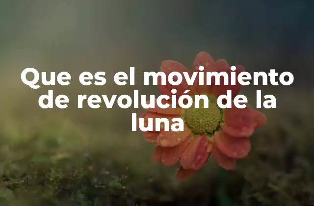 Que es el Movimiento de Revolución de la Luna
