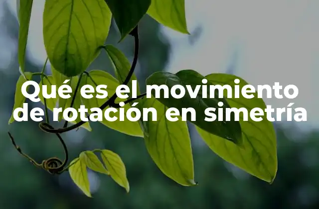 Qué es el Movimiento de Rotación en Simetría