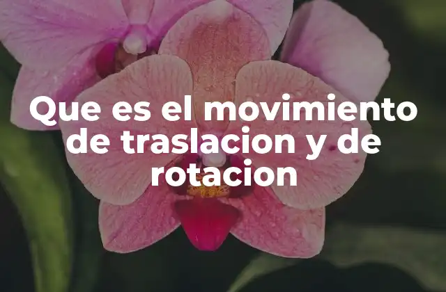 Que es el Movimiento de Traslacion y de Rotacion