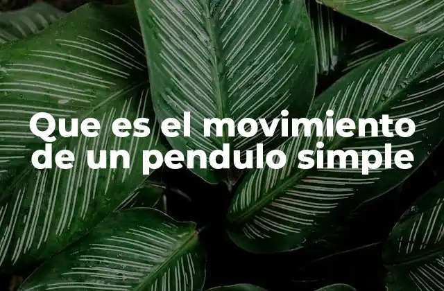 Que es el Movimiento de un Pendulo Simple