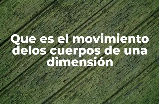 Que es el Movimiento Delos Cuerpos de una Dimensión