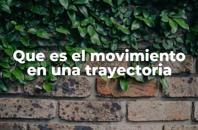 Que es el Movimiento en una Trayectoria