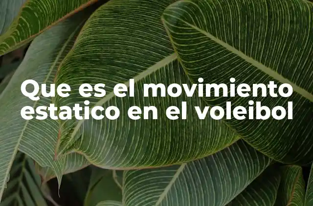 La importancia de la postura en el voleibol