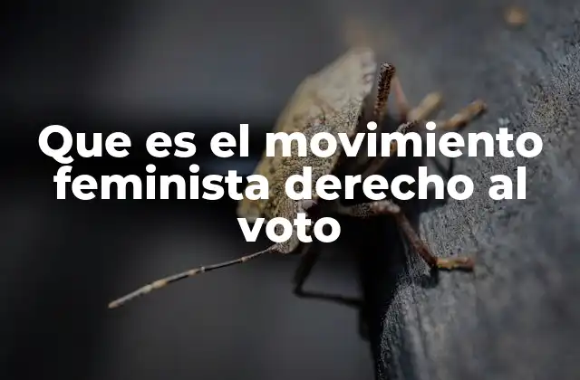 Que es el Movimiento Feminista Derecho Al Voto