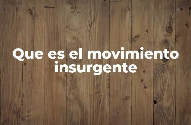 Que es el Movimiento Insurgente