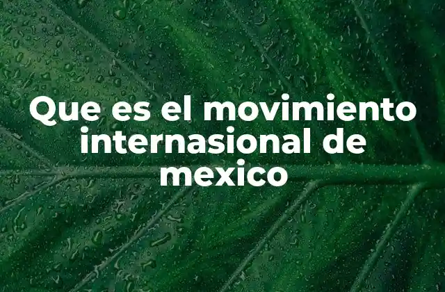Que es el Movimiento Internasional de Mexico