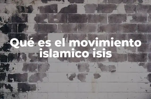 Qué es el Movimiento Islamico Isis