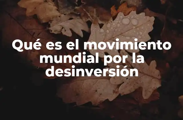 Qué es el Movimiento Mundial por la Desinversión