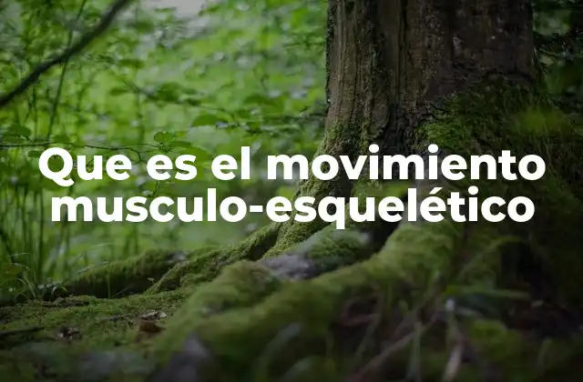 Que es el Movimiento Musculo-esquelético 2 El funcionamiento del sistema que permite los movimientos corporales