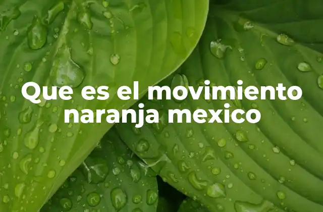 Que es el Movimiento Naranja Mexico 2 El surgimiento del color naranja en el activismo mexicano