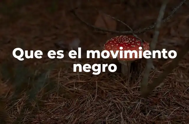Que es el Movimiento Negro