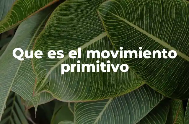 Que es el Movimiento Primitivo