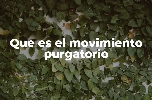 Que es el Movimiento Purgatorio