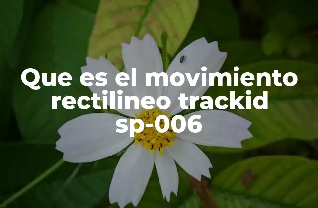 Características del movimiento rectilíneo