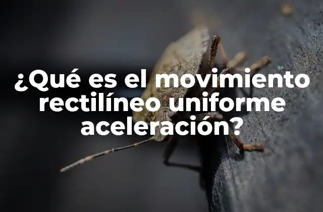 ¿qué es el Movimiento Rectilíneo Uniforme Aceleración?