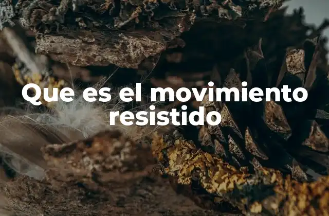 Que es el Movimiento Resistido 2 El entrenamiento con resistencia como base del acondicionamiento físico