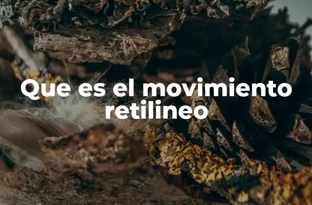Que es el Movimiento Retilineo