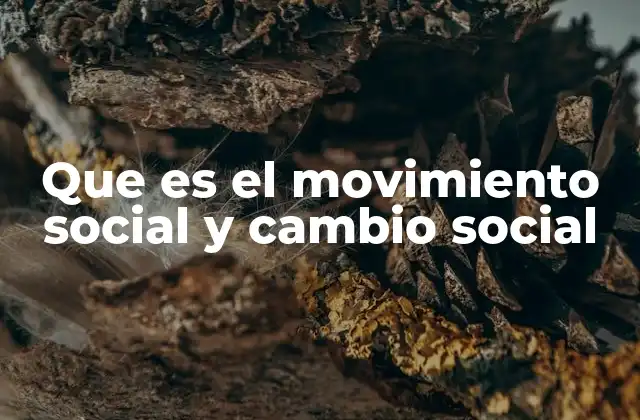 La dinámica entre grupos colectivos y transformaciones sociales