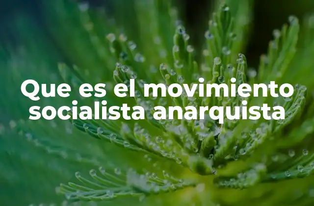 Que es el Movimiento Socialista Anarquista
