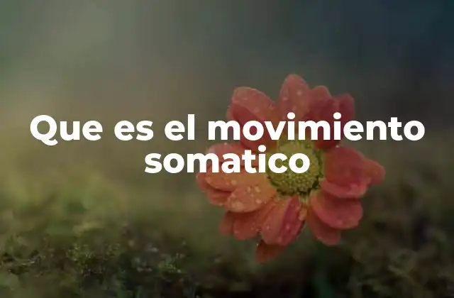 Que es el Movimiento Somatico