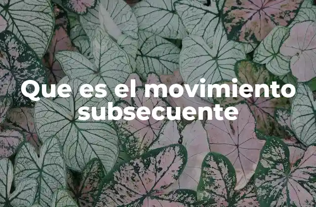 Que es el Movimiento Subsecuente