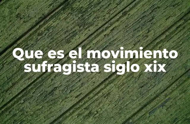 El contexto social y político que originó el movimiento sufragista en el siglo XIX