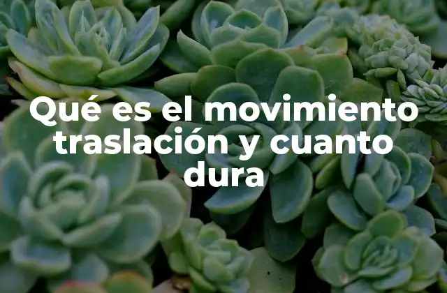 Qué es el Movimiento Traslación y Cuanto Dura