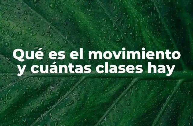 Qué es el Movimiento y Cuántas Clases Hay
