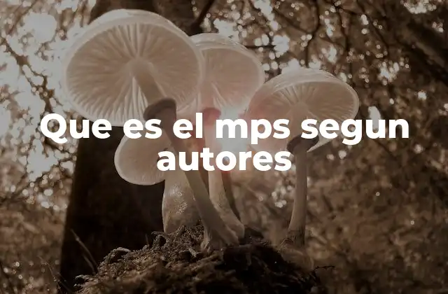 Que es el Mps Segun Autores