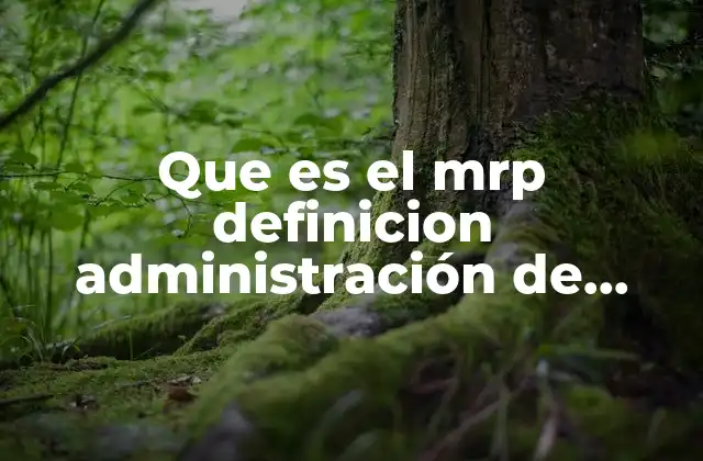 Que es el Mrp Definicion Administración de Operaciones