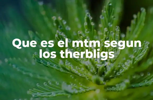 Que es el Mtm Segun los Therbligs