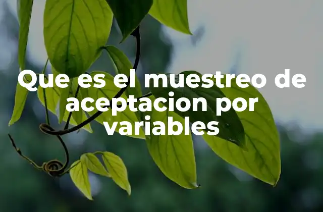 Que es el Muestreo de Aceptacion por Variables