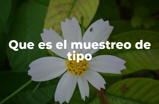 Que es el Muestreo de Tipo