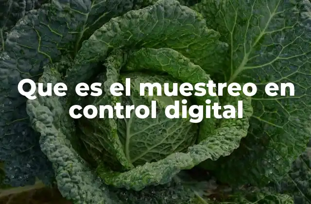 Que es el Muestreo en Control Digital 2 El rol del muestreo en la conversión analógica-digital