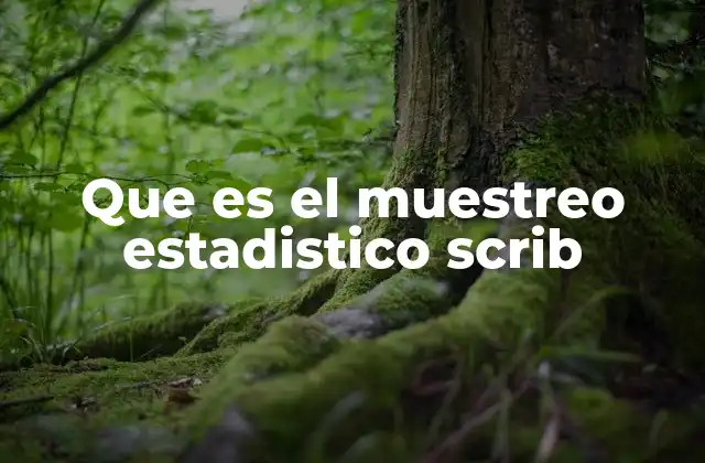 Que es el Muestreo Estadistico Scrib
