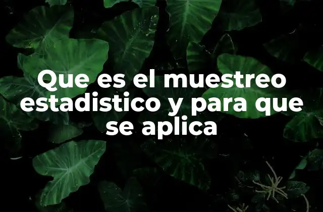 Que es el Muestreo Estadistico y para que Se Aplica