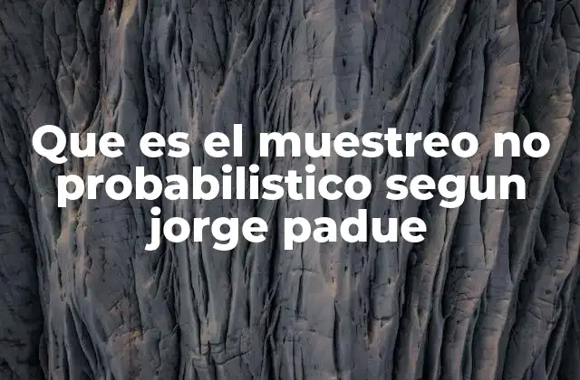 Que es el Muestreo No Probabilistico Segun Jorge Padue