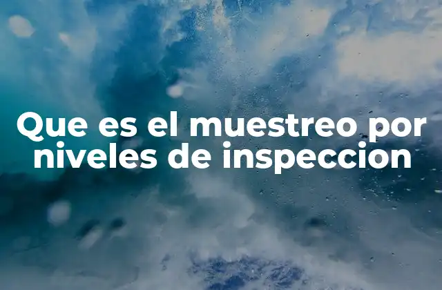 Que es el Muestreo por Niveles de Inspeccion