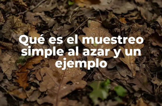 Qué es el Muestreo Simple Al Azar y un Ejemplo