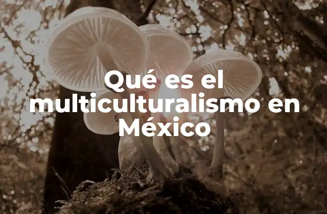 Qué es el Multiculturalismo en México