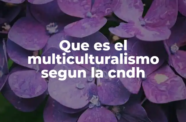 El enfoque de la CNDH sobre diversidad cultural
