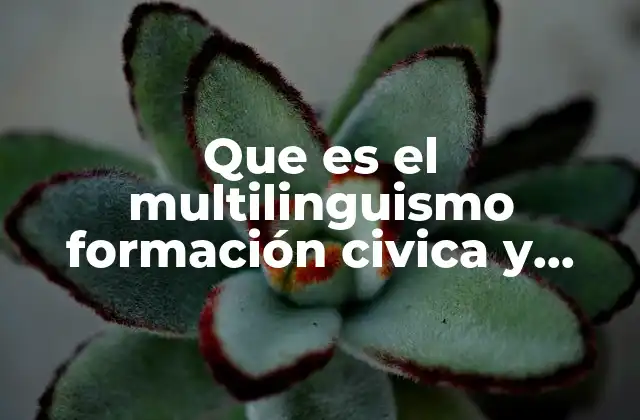 Que es el Multilinguismo Formación Civica y Etica
