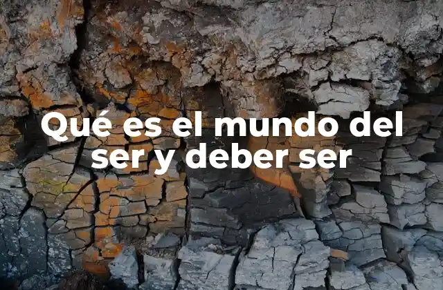 Qué es el Mundo Del Ser y Deber Ser