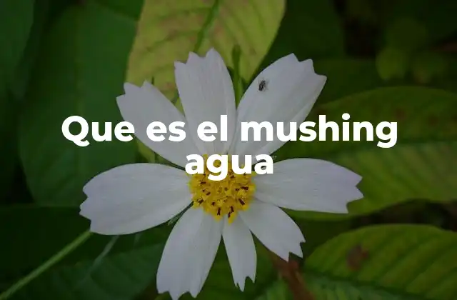 Que es el Mushing Agua